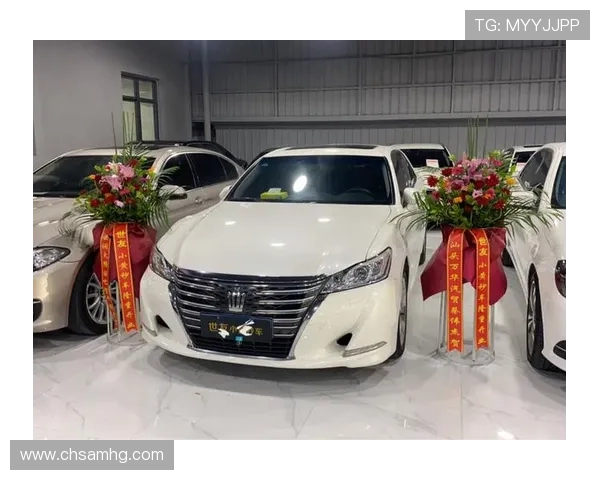 皇冠官方app下载指南,详细步骤帮助新手快速安装使用皇冠官方应用 皇冠官方app下载指南,详细步骤帮助新手快速安装使用皇冠官方应用