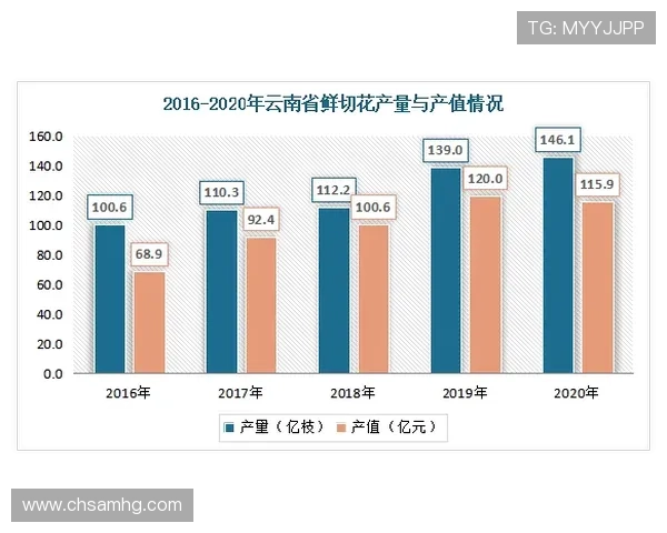 新东方置地在房地产行业中的竞争优势分析
