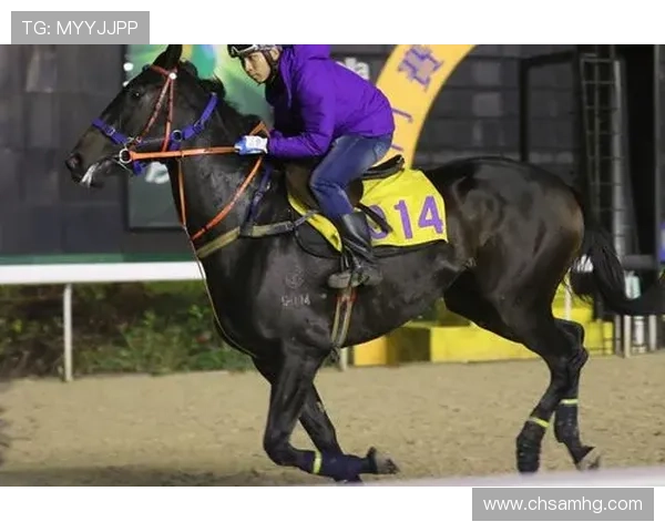 澳门赛马：体验世界级赛事魅力的最佳选择